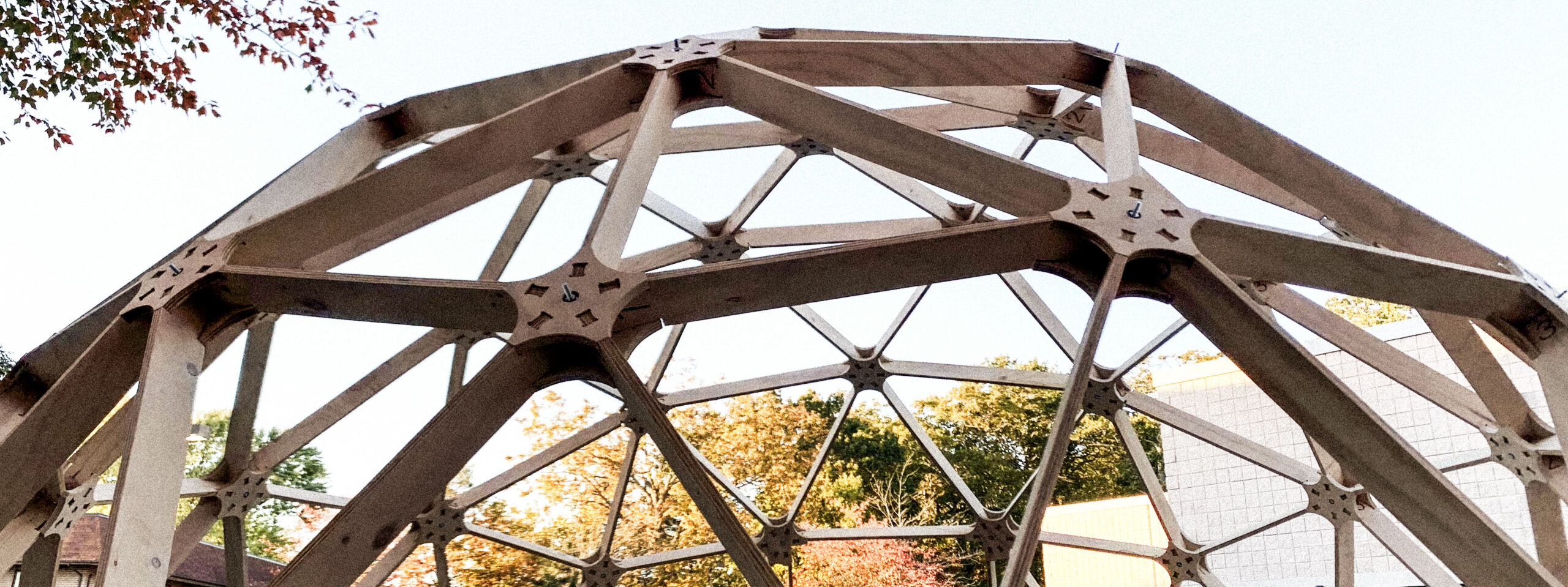 Wooden Geodesic Dome House Kit For Sale - FANCY STRUCTURE